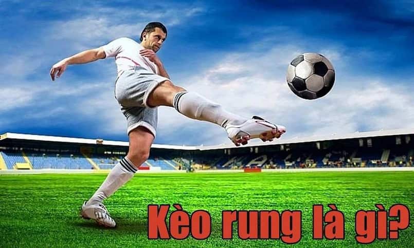 Kèo 2 2.5 Là Gì? Giải Thích Dễ Hiểu Và Chuẩn 100% Từ 8XX Hiểu rõ hơn về kèo 2 2.5 để chinh phục sân chơi cá cược thể thao 8XX