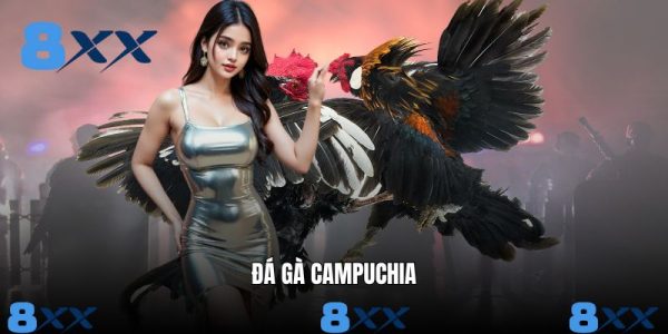Đá Gà Campuchia - Hình Thức Giải Trí Cá Cược Nổi Tiếng 8XX Đá Gà Campuchia - Hình Thức Giải Trí Cá Cược Nổi Tiếng 8XX