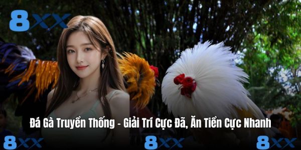 Đá Gà Truyền Thống - Giải Trí Cực Đã, Ăn Tiền Cực Nhanh Đá Gà Truyền Thống - Giải Trí Cực Đã, Ăn Tiền Cực Nhanh