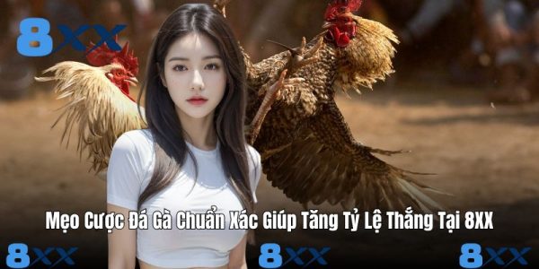 Mẹo Cược Đá Gà Chuẩn Xác Giúp Tăng Tỷ Lệ Thắng Tại 8XX Mẹo Cược Đá Gà Chuẩn Xác Giúp Tăng Tỷ Lệ Thắng Tại 8XX