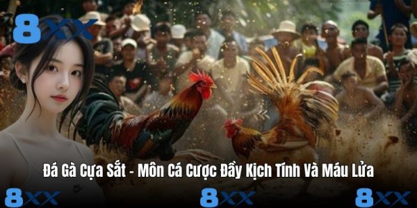 Đá Gà Cựa Sắt – Môn Cá Cược Đầy Kịch Tính Và Máu Lửa Đá Gà Cựa Sắt – Môn Cá Cược Đầy Kịch Tính Và Máu Lửa